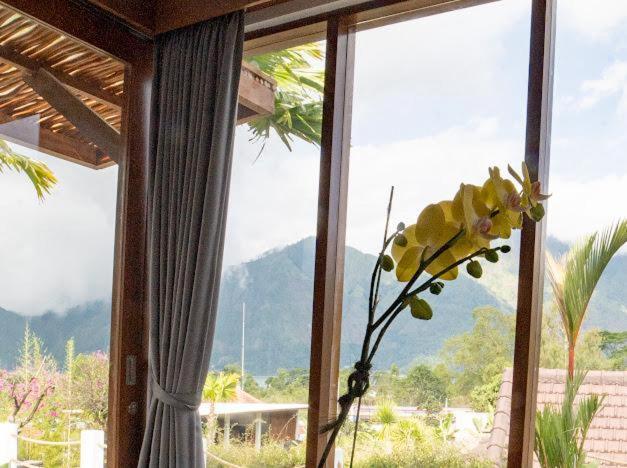 The Lava Bali And Hot Spring Bed & Breakfast *